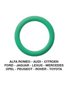 O-Ring Alfa-Audi-Citroen-Jaguar-Opel-etc. 20.40 x 3.50  (25 st.)