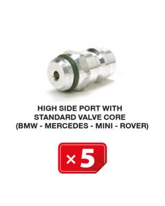 Nippel Hogedruk zijde met standaard ventiel (BMW-Mercedes-Mini-Rover) (5 st.)