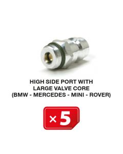Nippel Hogedruk zijde met lang ventiel (BMW-Mercedes-Mini-Rover) (5 st.)