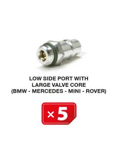 Nippel Lagedruk zijde met lang ventiel (BMW-Mercedes-Mini-Rover) (5 st.)