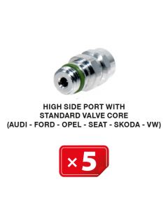 Nippel Hogedruk zijde met lang standaard ventiel (Audi-Ford-Opel-Seat-Skoda-VW) (5 st.)