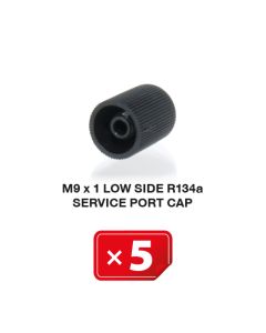 Airco Service Poort Kapje M 9 x 1 Lagedrukzijde R134a (5 st.)