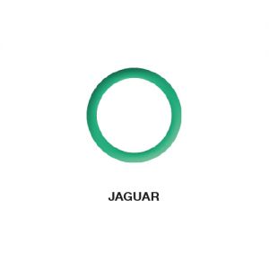 O-Ring Jaguar  11.10 x 1.60  (5 st.)