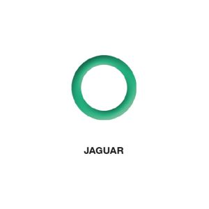 O-Ring Jaguar 11.80 x 2.40  (5 st.)
