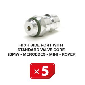 Nippel Hogedruk zijde met standaard ventiel (BMW-Mercedes-Mini-Rover) (5 st.)
