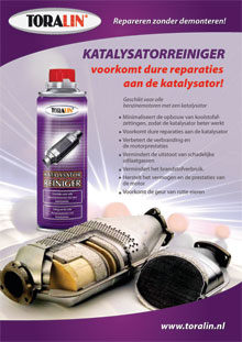 Katalysatorreiniger